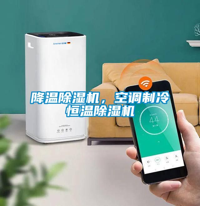 降溫除濕機，空調(diào)制冷恒溫除濕機