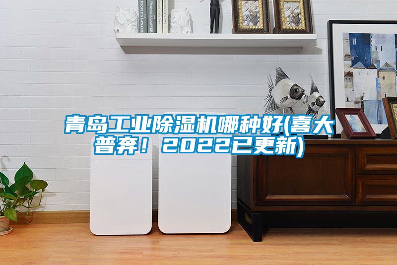 青島工業(yè)除濕機(jī)哪種好(喜大普奔！2022已更新)
