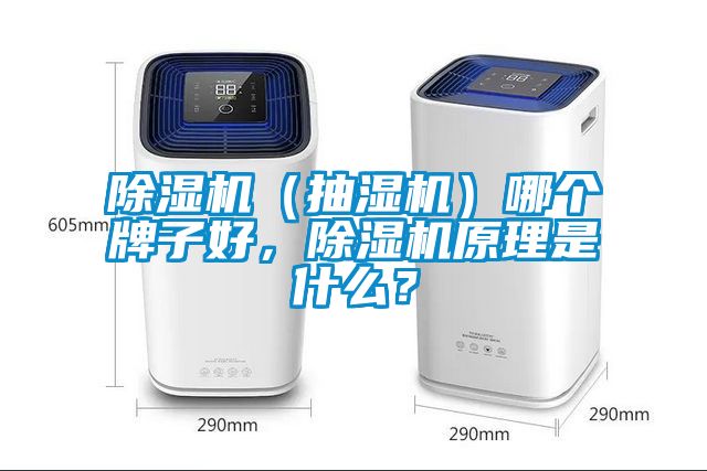 除濕機（抽濕機）哪個牌子好，除濕機原理是什么？
