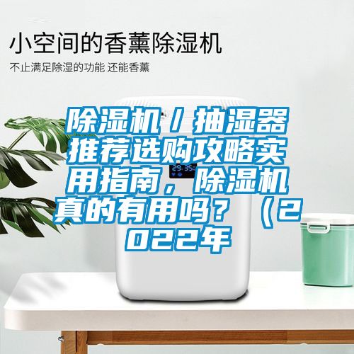 除濕機(jī)／抽濕器推薦選購(gòu)攻略實(shí)用指南，除濕機(jī)真的有用嗎？（2022年