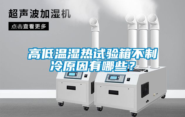 高低溫濕熱試驗(yàn)箱不制冷原因有哪些？