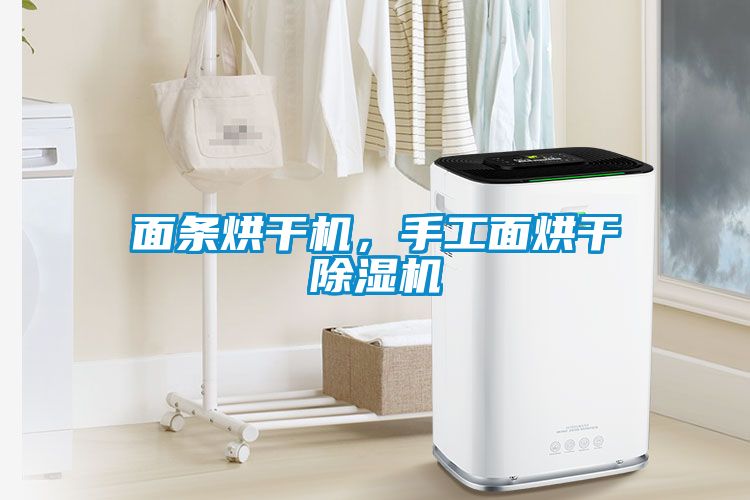 面條烘干機，手工面烘干除濕機
