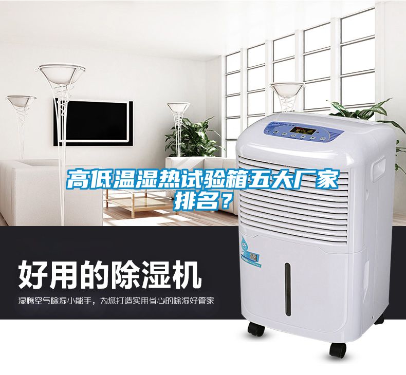 高低溫濕熱試驗(yàn)箱五大廠家排名？