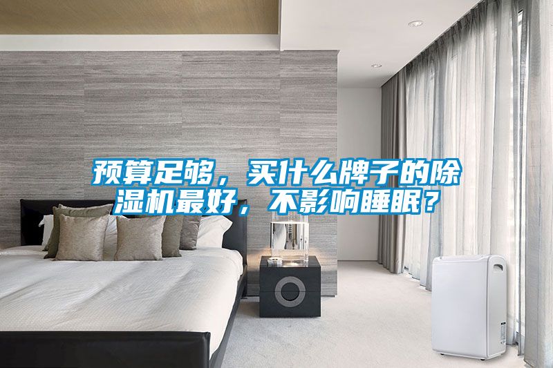 預(yù)算足夠，買什么牌子的除濕機(jī)最好，不影響睡眠？