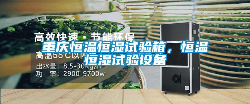 重慶恒溫恒濕試驗(yàn)箱，恒溫恒濕試驗(yàn)設(shè)備