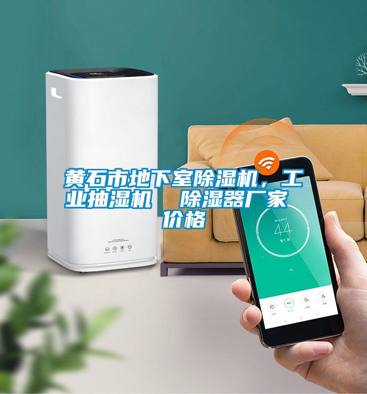 黃石市地下室除濕機，工業(yè)抽濕機  除濕器廠家 價格