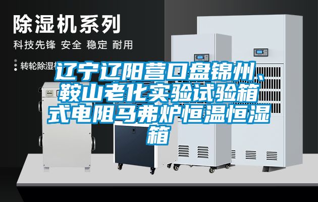 遼寧遼陽營(yíng)口盤錦州、鞍山老化實(shí)驗(yàn)試驗(yàn)箱式電阻馬弗爐恒溫恒濕箱