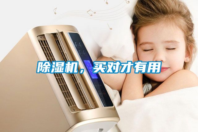 除濕機，買對才有用