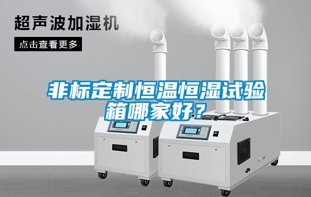 非標(biāo)定制恒溫恒濕試驗(yàn)箱哪家好？
