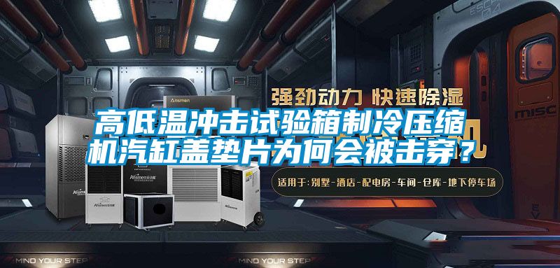 高低溫沖擊試驗(yàn)箱制冷壓縮機(jī)汽缸蓋墊片為何會(huì)被擊穿？