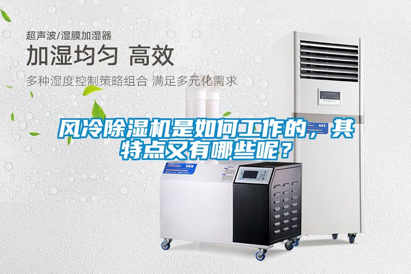 風冷除濕機是如何工作的，其特點又有哪些呢？
