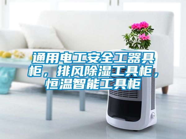 通用電工安全工器具柜，排風(fēng)除濕工具柜，恒溫智能工具柜