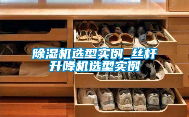 除濕機(jī)選型實例_絲桿升降機(jī)選型實例