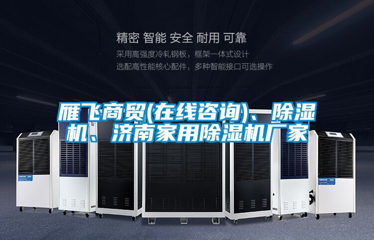 雁飛商貿(mào)(在線(xiàn)咨詢(xún))、除濕機(jī)、濟(jì)南家用除濕機(jī)廠(chǎng)家