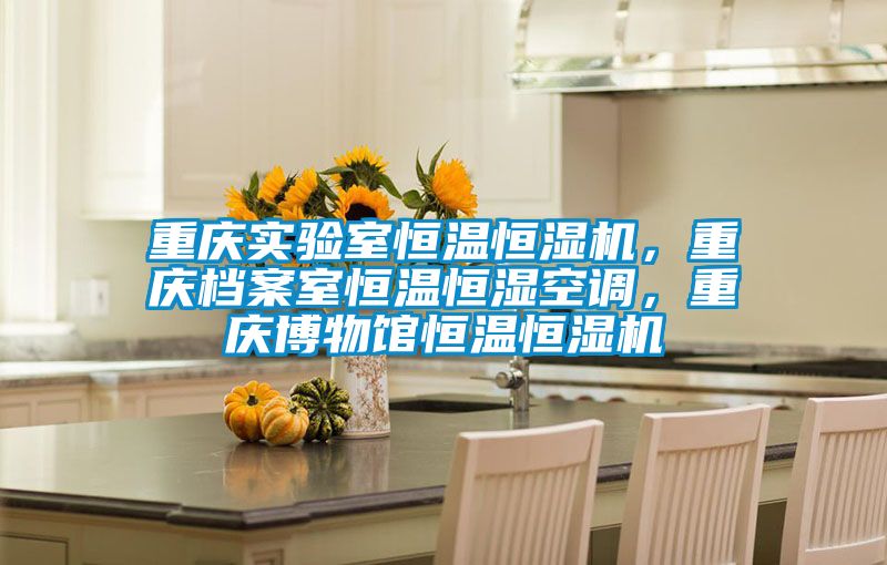 重慶實(shí)驗(yàn)室恒溫恒濕機(jī)，重慶檔案室恒溫恒濕空調(diào)，重慶博物館恒溫恒濕機(jī)