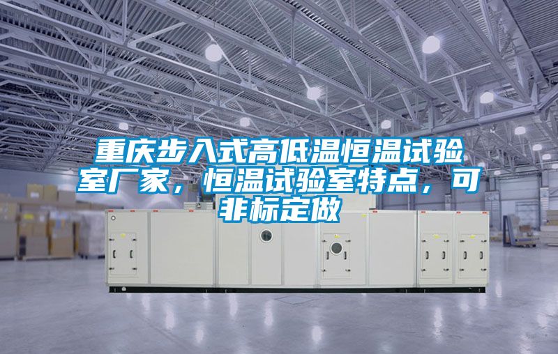 重慶步入式高低溫恒溫試驗(yàn)室廠家，恒溫試驗(yàn)室特點(diǎn)，可非標(biāo)定做