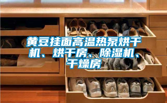 黃豆掛面高溫?zé)岜煤娓蓹C(jī)、烘干房、除濕機(jī)、干燥房
