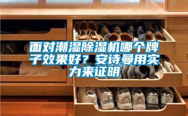 面對(duì)潮濕除濕機(jī)哪個(gè)牌子效果好？安詩曼用實(shí)力來證明